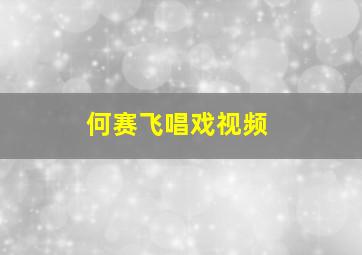 何赛飞唱戏视频