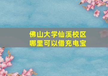 佛山大学仙溪校区哪里可以借充电宝