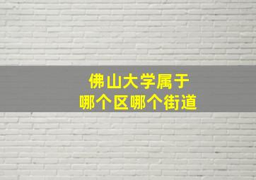 佛山大学属于哪个区哪个街道