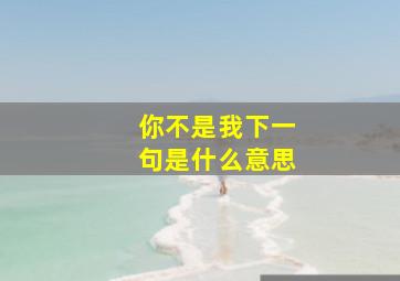 你不是我下一句是什么意思