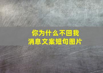 你为什么不回我消息文案短句图片