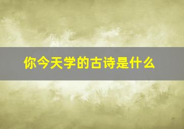 你今天学的古诗是什么