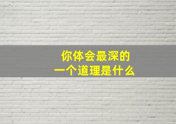 你体会最深的一个道理是什么