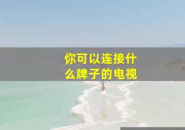 你可以连接什么牌子的电视