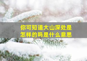 你可知道大山深处是怎样的吗是什么意思