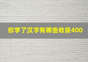 你学了汉字有哪些收获400