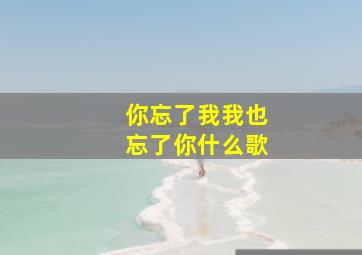 你忘了我我也忘了你什么歌