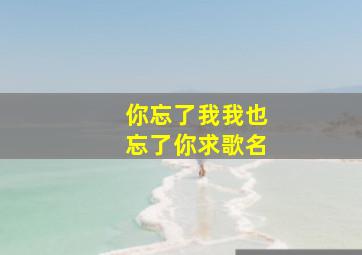 你忘了我我也忘了你求歌名