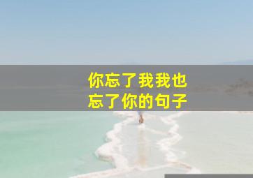 你忘了我我也忘了你的句子