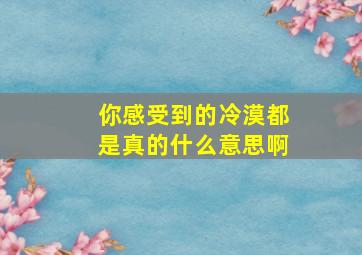 你感受到的冷漠都是真的什么意思啊