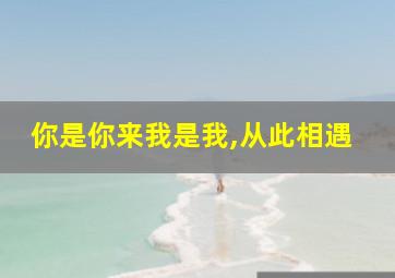 你是你来我是我,从此相遇