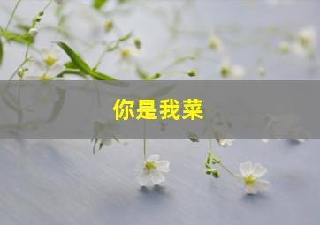 你是我菜