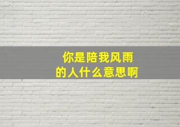 你是陪我风雨的人什么意思啊