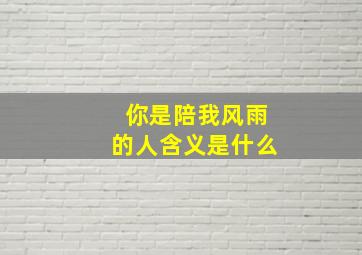 你是陪我风雨的人含义是什么