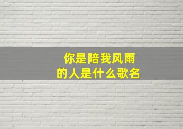 你是陪我风雨的人是什么歌名