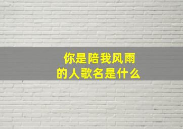 你是陪我风雨的人歌名是什么