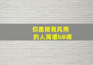 你是陪我风雨的人简谱bB调