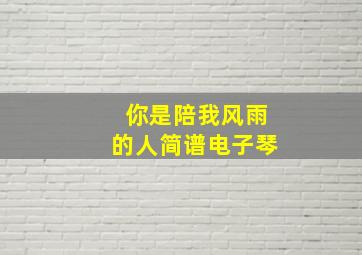 你是陪我风雨的人简谱电子琴