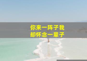 你来一阵子我却怀念一辈子