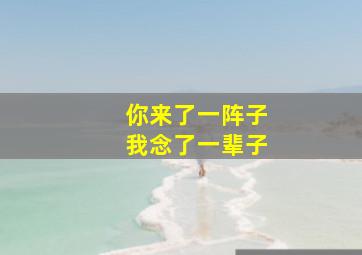 你来了一阵子我念了一辈子