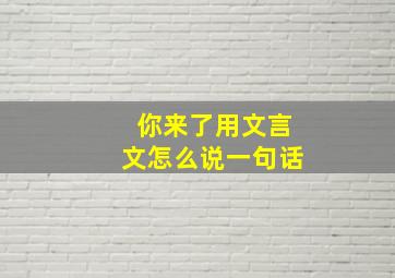 你来了用文言文怎么说一句话