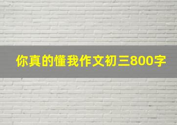 你真的懂我作文初三800字