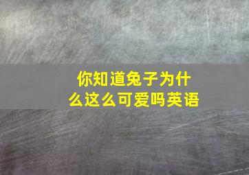 你知道兔子为什么这么可爱吗英语