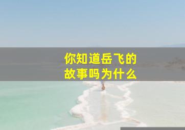 你知道岳飞的故事吗为什么