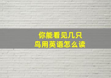 你能看见几只鸟用英语怎么读