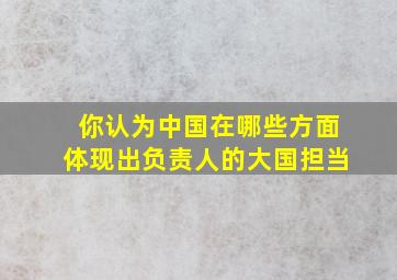 你认为中国在哪些方面体现出负责人的大国担当