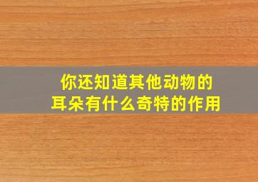 你还知道其他动物的耳朵有什么奇特的作用