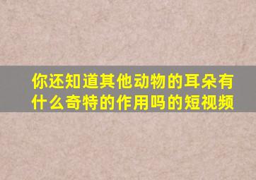 你还知道其他动物的耳朵有什么奇特的作用吗的短视频