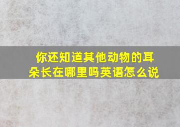 你还知道其他动物的耳朵长在哪里吗英语怎么说