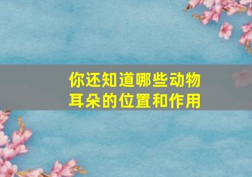 你还知道哪些动物耳朵的位置和作用