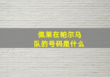 佩莱在帕尔马队的号码是什么