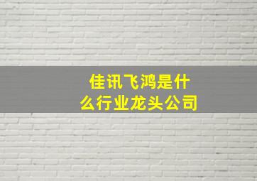 佳讯飞鸿是什么行业龙头公司