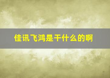 佳讯飞鸿是干什么的啊