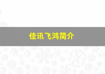 佳讯飞鸿简介