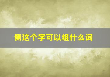 侧这个字可以组什么词