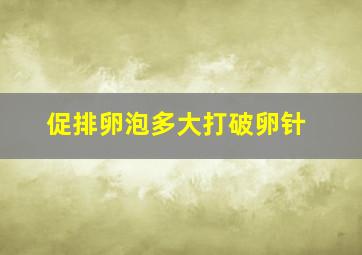 促排卵泡多大打破卵针