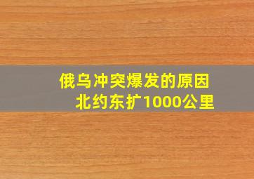 俄乌冲突爆发的原因北约东扩1000公里