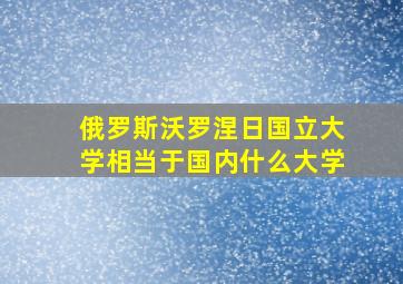 俄罗斯沃罗涅日国立大学相当于国内什么大学