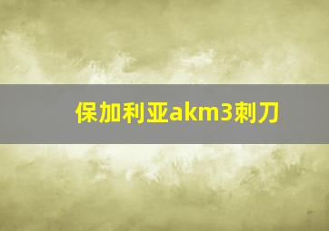 保加利亚akm3刺刀