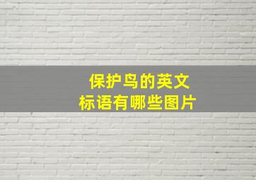 保护鸟的英文标语有哪些图片