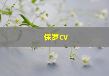 保罗cv