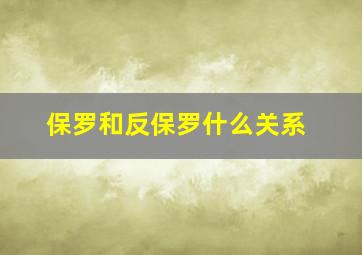 保罗和反保罗什么关系