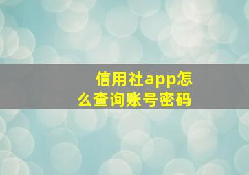 信用社app怎么查询账号密码