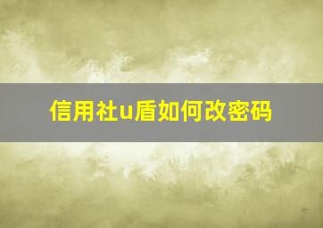 信用社u盾如何改密码