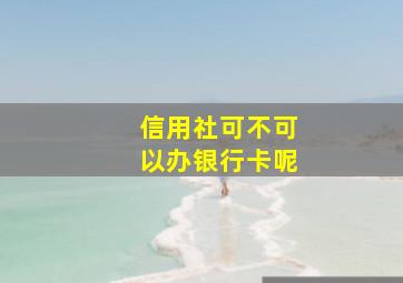 信用社可不可以办银行卡呢