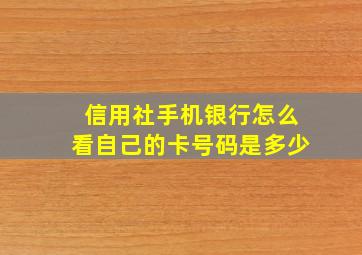 信用社手机银行怎么看自己的卡号码是多少